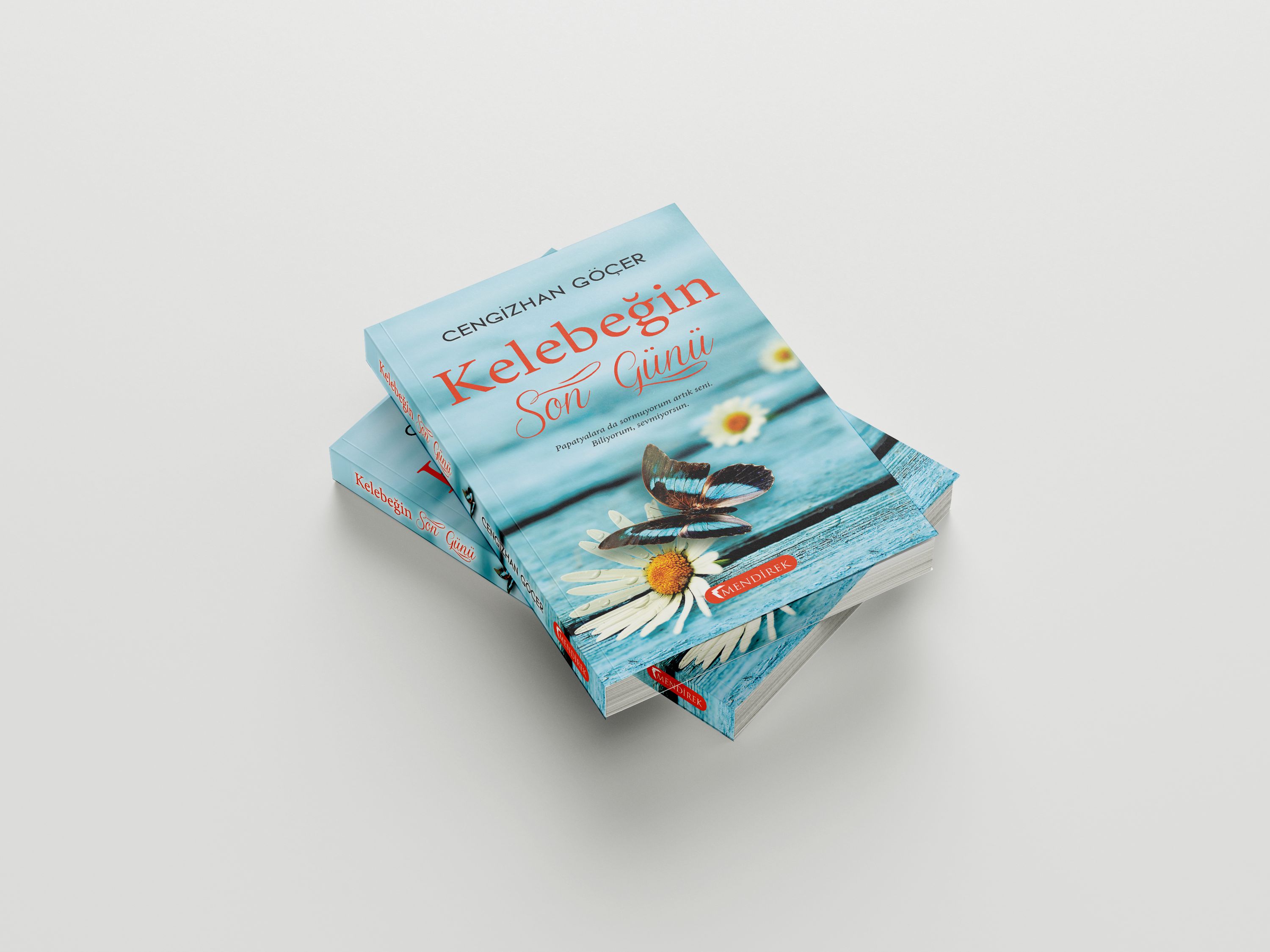 Kelebeğin Son Günü