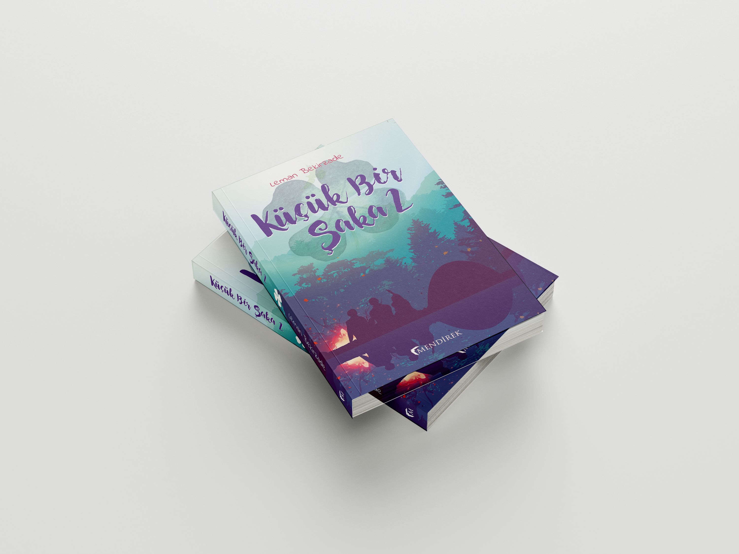 Küçük Bir Şaka 2